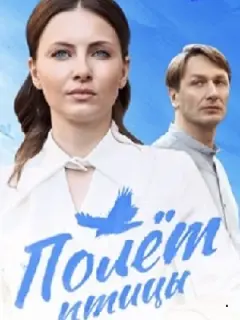 Полёт птицы